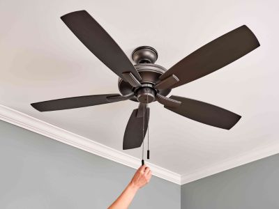 fan